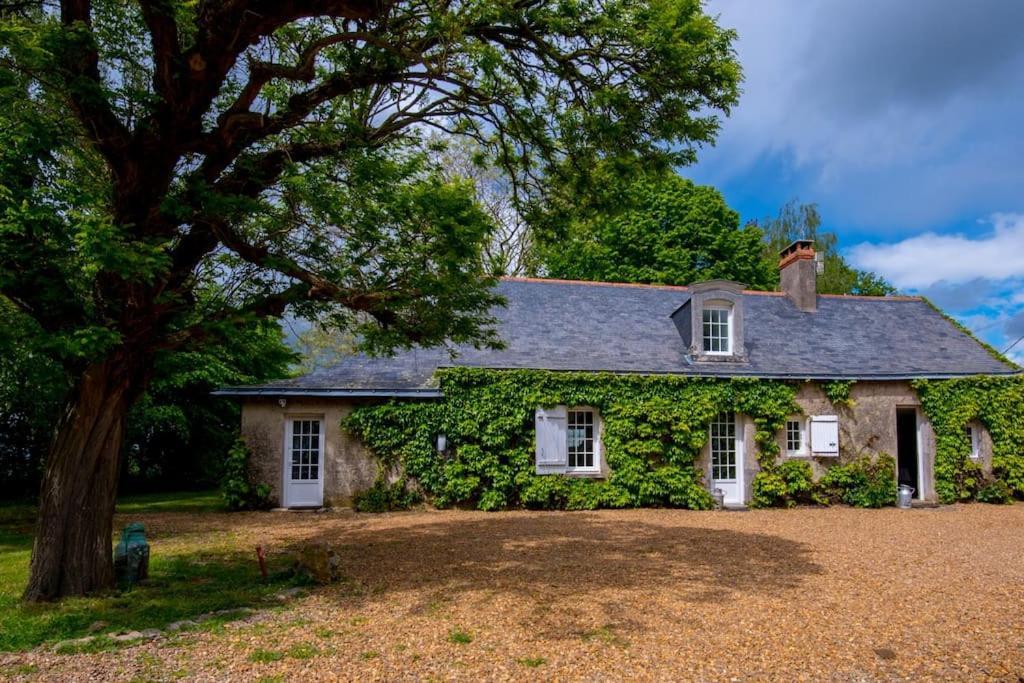 Villa Les Maudines Baugé Exterior foto